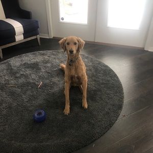 Meet your Posher, Angie